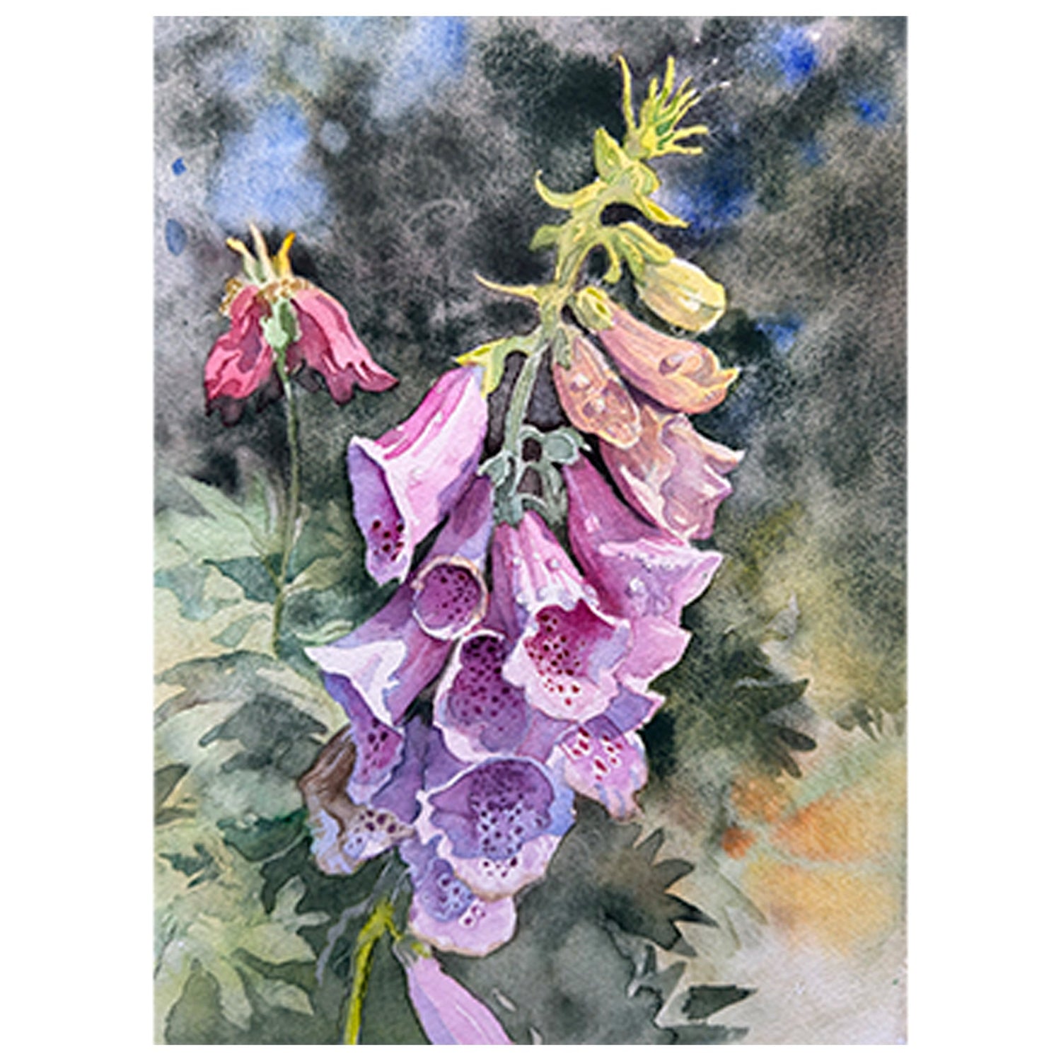Greeting card depicting a watercolor painting of purple pink foxglove flower 