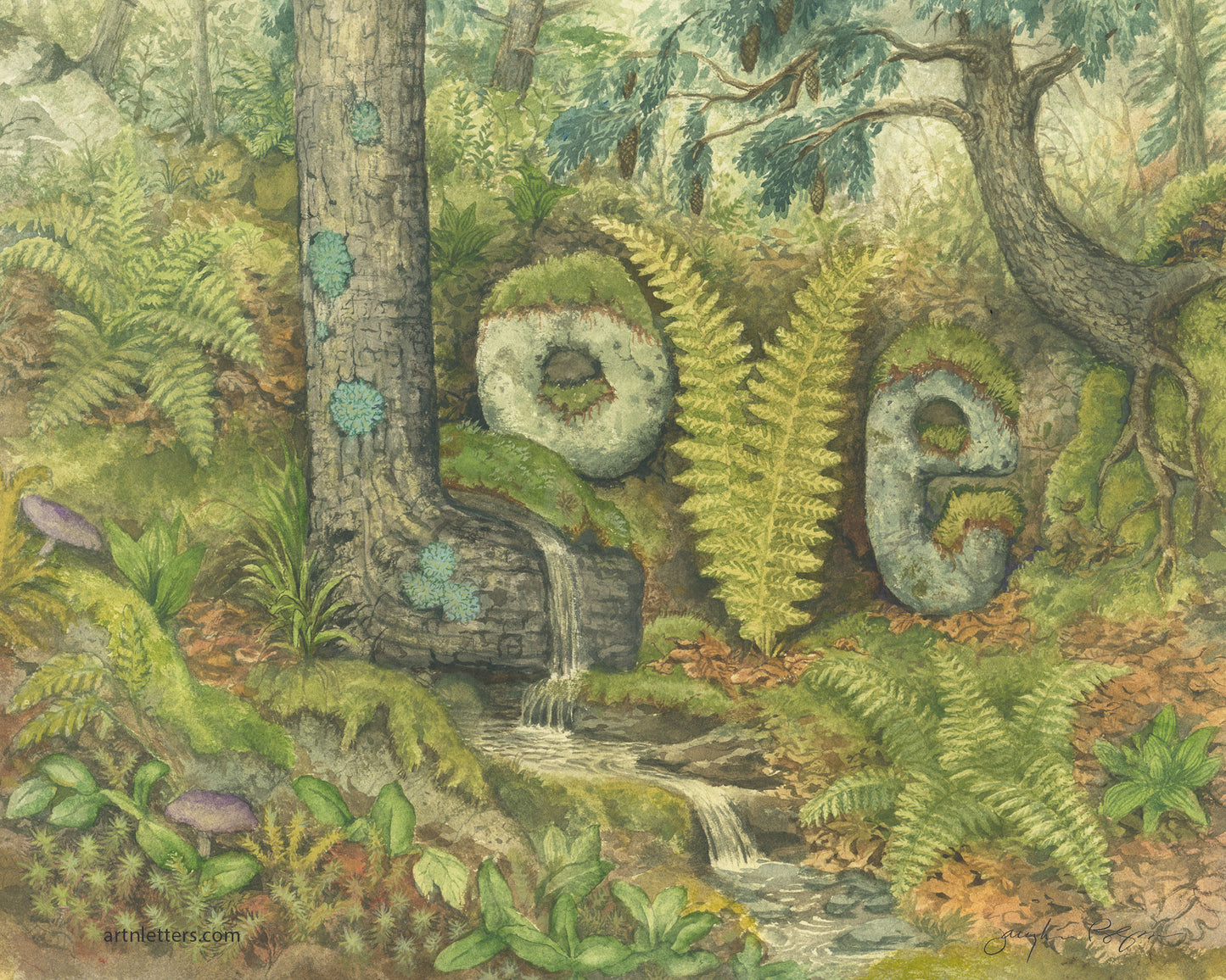 A realistic depiction of the deep woods painted in watercolor, depicts the word “Love” created from a tree, ferns and moss-covered stones. 