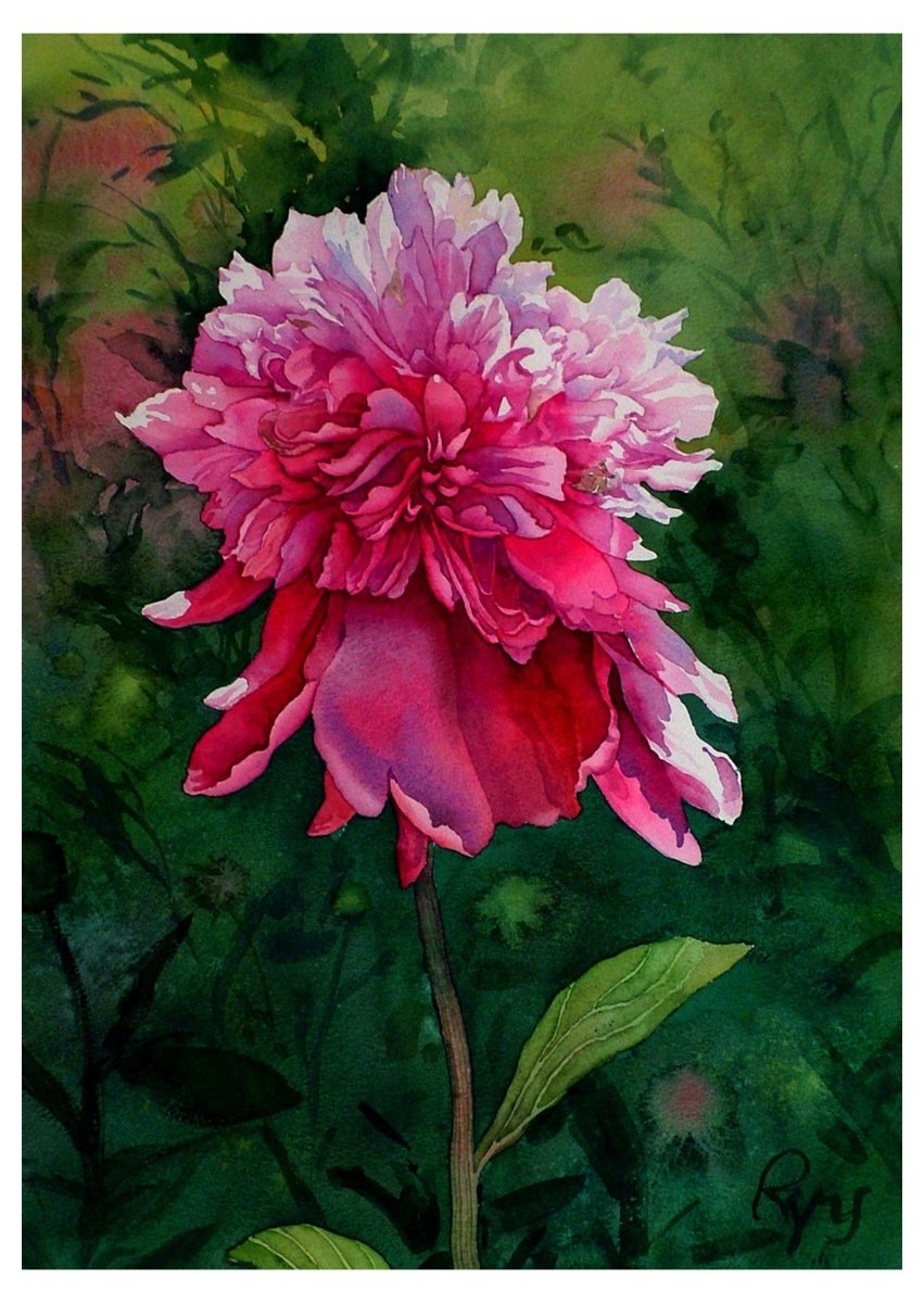 Assortment of Flowers in Watercolor Greeting Cards - Art'n Letters, Inc.