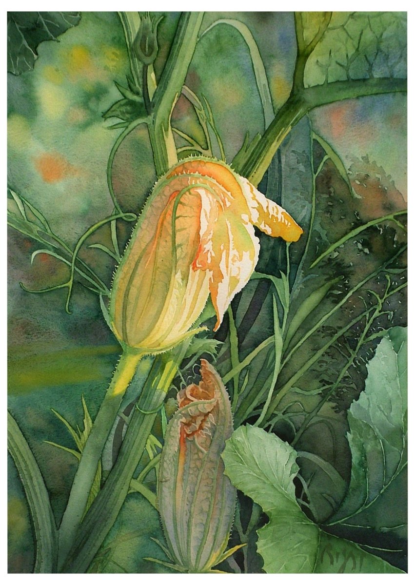 Squash Blossoms Greeting Cards - Art'n Letters, Inc.